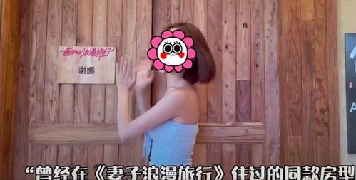 谢娜酒店爆料视频播放,揭秘明星私生活幕后真相